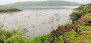 Heavy rains in Balaghat saved Jamkhed Taluka 