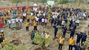 Celebrate the birthday of 600 trees by cutting a cake of 601 kg of organic fertilizer