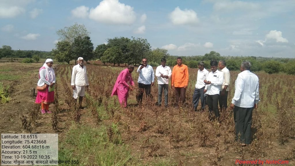 Joint Panchnama of the damage due to heavy rain in Jamkhed taluka has been launched by Agriculture and Revenue Department, see the overview of the damaged area in the photo