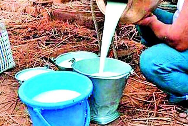 Shocking: Supply of adulterated milk directly from Rohit Pawar's constituency to Baramati