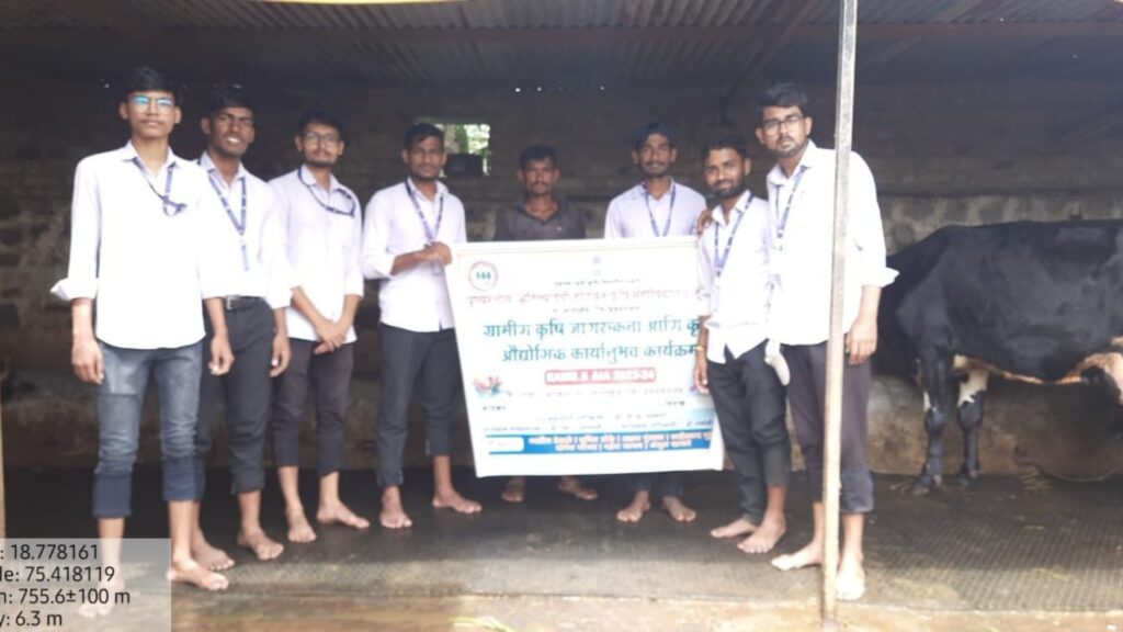 How to keep the animal shed clean? What to watch out for? Agricultural Ambassadors from Halgaon Agricultural College guided farmers through demonstration