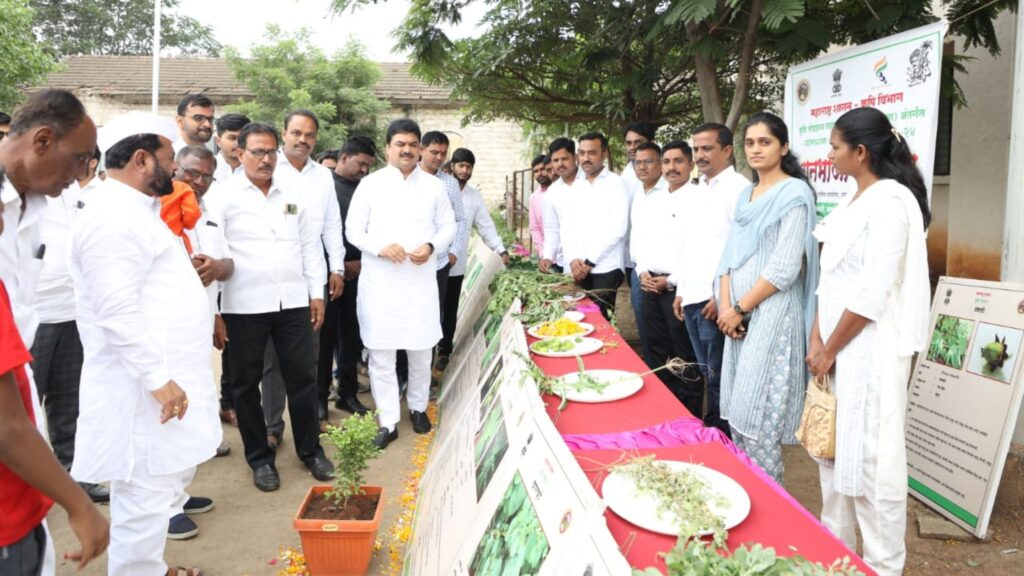 Jamkhed Agriculture Department Organized by ranbhaji mahotsav held in Jamkhed on Independence Day, 