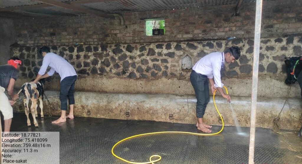 How to keep the animal shed clean? What to watch out for? Agricultural Ambassadors from Halgaon Agricultural College guided farmers through demonstration