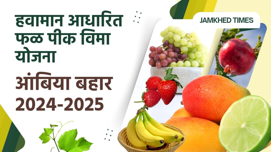 Restructured Weather Based Fruit Crop Insurance Scheme Ambia Bahar 2024-25, Quickly apply for the scheme at pmfby.gov.in, falpik vima yojana news in marathi, 